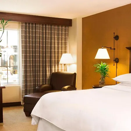 Sheraton Atlanta Perimeter North